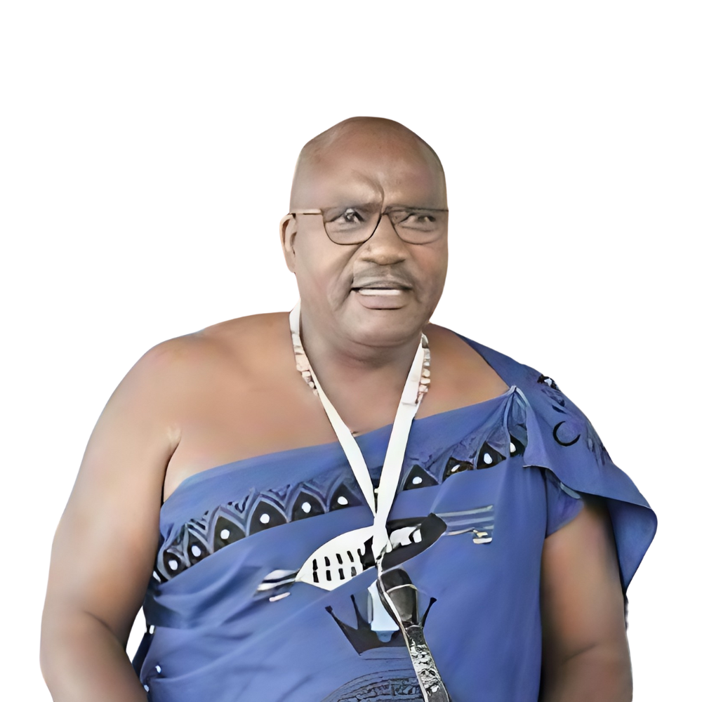 S’thofeni Mfanasibili Ginindza